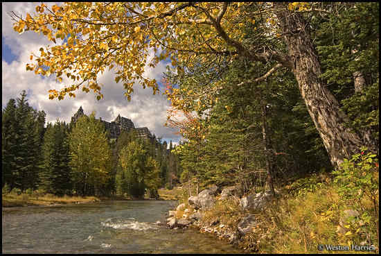 - Spray River, Banff Springs Hotel, and fall colors, Banff NP, Canada -