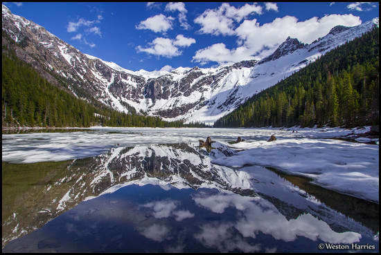 - Avalanche Lake, Glacier NP -