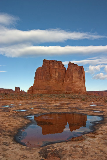 - The Organ Reflected in a Small Pool After a Storm, Arches NP -