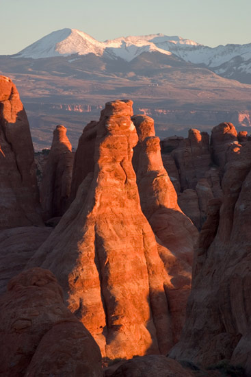 - Sandstone Fins with the La Sal Mtns in the Background, Sunset, Arches NP -