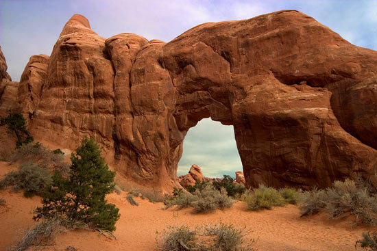 - Pine Tree Arch, Arches NP -