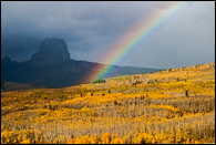 - Rainbow Over Chief Mountain, with
Aspens in Golden Fall Color, Glacier NP -