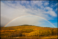 - Full Rainbow Over a Grove of Aspens in Fall Color, Glacier NP -