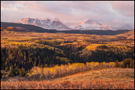 - Aspens in Fall Color, Below Sherburne Peak
& Yellow Mountain at Sunrise, Glacier NP -