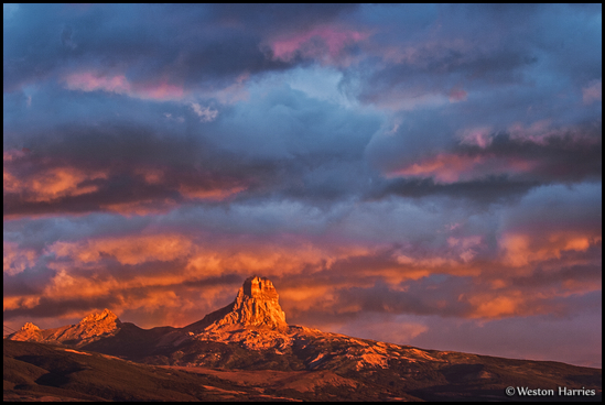 - Chief Mountain Glowing
During a Stormy Sunrise, Glacier NP -