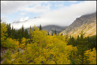 - Fall Colors and Low Clouds in the Two Medicine Area, Glacier NP -