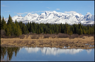 - Snow Covered Peaks Above a North Fork Beaver Pond, Glacier NP -
