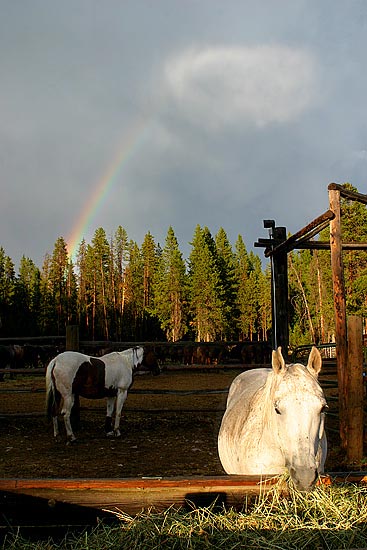 - Rainbow Over Horses in the Colter Bay Corrals, Grand Teton NP -