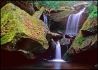 - Unnamed Waterfall, GSMNP -