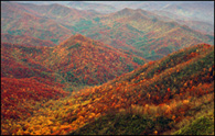 - Fall Colors Along the Appalachian Trail, GSMNP -