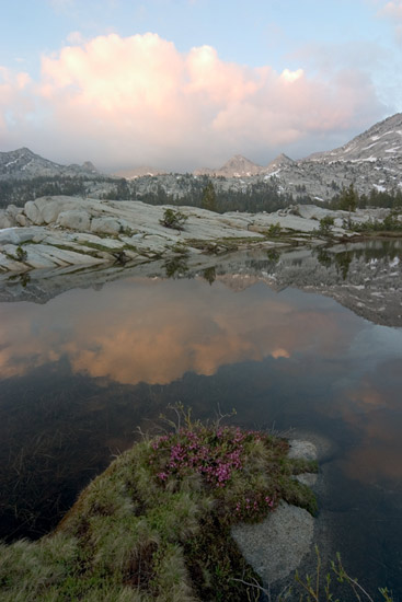 - Wildflowers on the Shore of a Lake in Granite Basin, Reflecting Goat Crest and Clouds at Sunset, Kings Canyon NP -