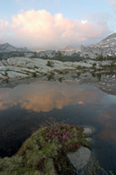 - Wildflowers by a Lake in Granite Basin at Sunset, Kings Canyon NP -
