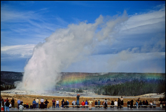 - Old Faithful Geyser and Tourists, Yellowstone NP -