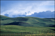 - Rolling Hills Just North of Yellowstone, Montana -