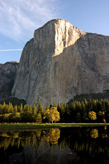 - Trees Reflected in a Spring Pond Below El Capitan, Sunrise, Yosemite NP -