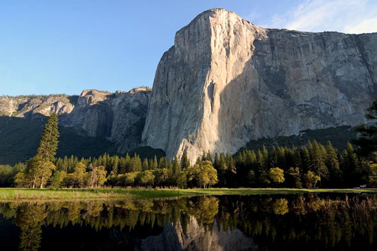 - Trees Reflected in a Spring Pond Below El Capitan, Sunrise, Yosemite NP -