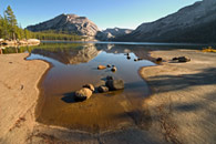 - Polly Dome Reflected in Tenaya Lake, Sunset, Yosemite NP -