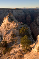 - View From the Top of Deertrap Mtn at Sunset, Zion NP -