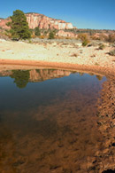 - Reflection in a Water Hole in Hop Valley, Zion NP -
