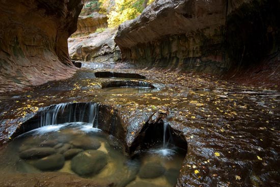 - Pools Carved by Fast Moving Water in the Subway, Left Fork of the North Creek, Zion NP -