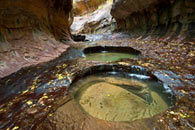 - Pools Carved by Fast Moving Water in the Subway, Left Fork of the North Creek, Zion NP -