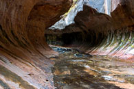 - Curved Undercut Canyon Walls in the Subway, Left Fork of the North Creek, Zion NP -