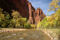 - Fall Colors Along the Virgin River, Zion NP -