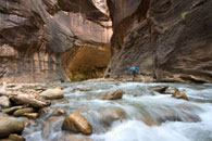 - A Hiker Passing by Strong Rapids in the Virgin River Narrows, Zion NP -