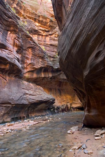 - Curved Walls at a Bend in the Virgin River Narrows, Zion NP -