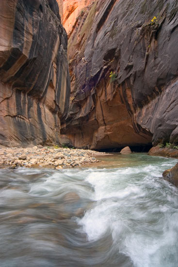 - Strong Rapids in the Virgin River Narrows, Zion NP -