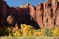 - The Pulpit and Fall Colors in the Temple of Sinawava, Zion NP -