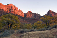 - Fall Colors Below Bridge Mtn and the Watchman at Sunset, Zion NP -