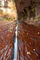 - Slot Formed by Fast Moving Water, Left Fork of the North Creek, Zion NP -
