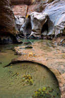 - Formations Carved by Fast Moving Water in the Subway, Left Fork of the North Creek, Zion NP -